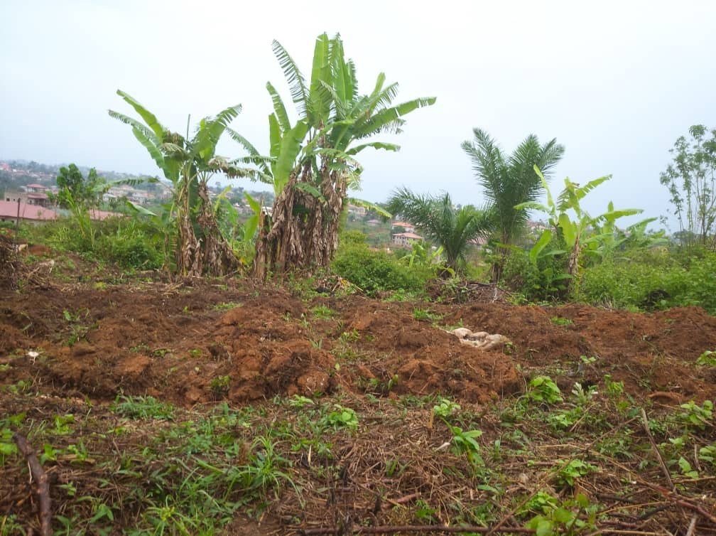 Students applying modern agricultural technology at MEHIT University